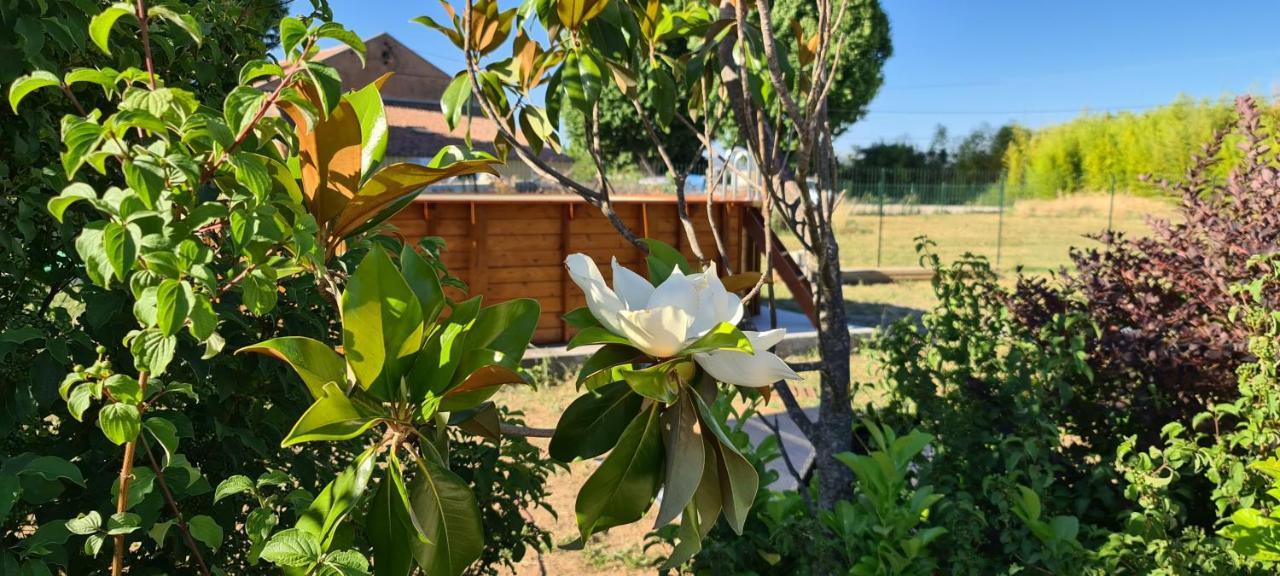 트레 Mas Gabelys Superbe Vue Sainte Victoire Jardin Terrasse Et Piscine 아파트 외부 사진